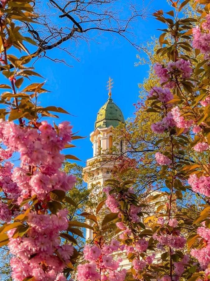 Старовинні Апартаменти У Центрі Міста Úzhgorod Exterior foto